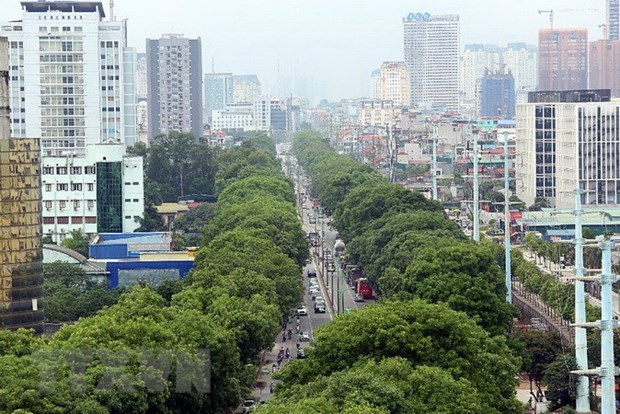 越南城市化率远低于地区和世界平均水平 hinh anh 1