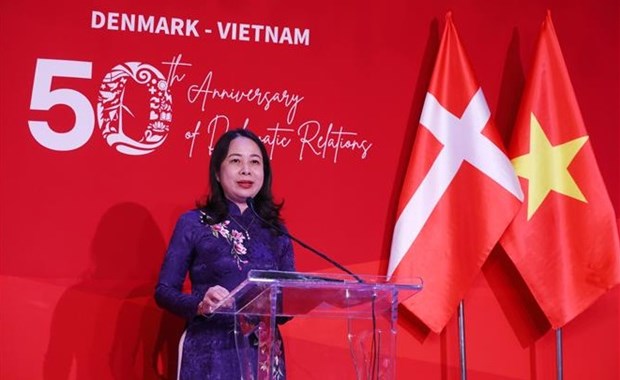 越南与丹麦建交50周年庆典在河内举行 hinh anh 3