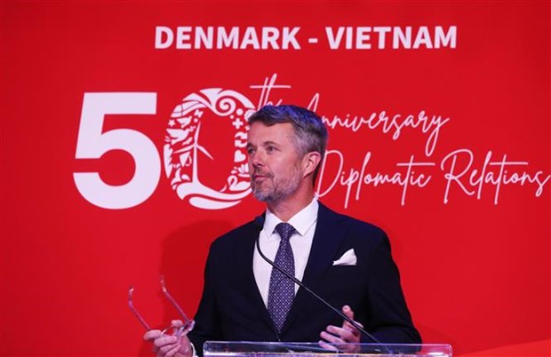 越南与丹麦建交50周年庆典在河内举行 hinh anh 2