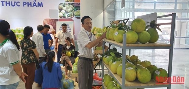 越南农产品推介点展示许多OCOP产品 hinh anh 1