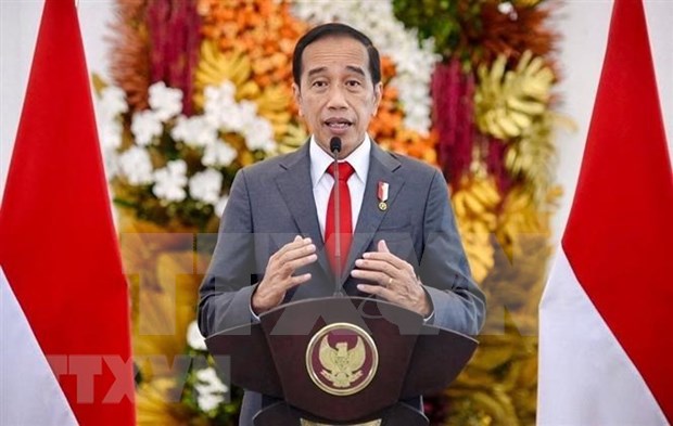 印度尼西亚呼吁宗教领袖促进世界和平 hinh anh 1