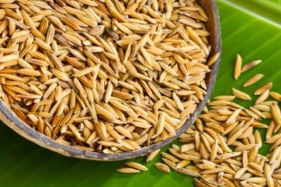 在日越南科学家从稻壳中发现珍贵化合物用于抑制癌细胞 hinh anh 1