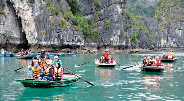 印度游客赴越南旅游人数激增 hinh anh 1