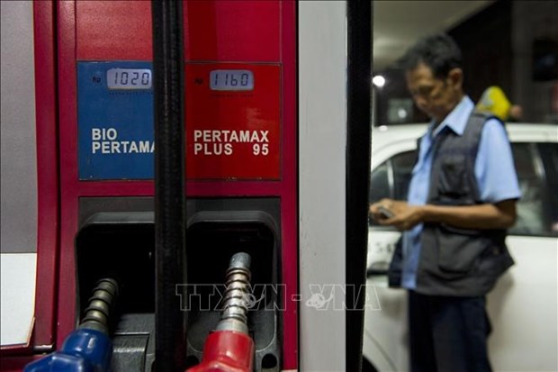 印尼实施燃料价格单一化政策 hinh anh 1