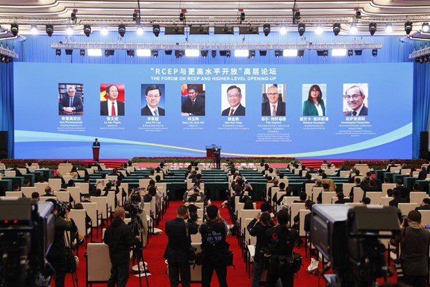 越南政府副总理黎文成出席并通过视频方式在“RCEP与更高水平开放”高层论坛上致辞 hinh anh 1