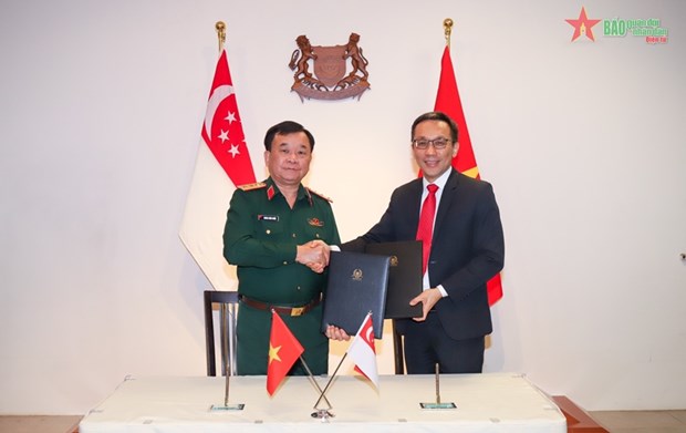 越南与新加坡强化防务合作 致力于共同利益 hinh anh 2