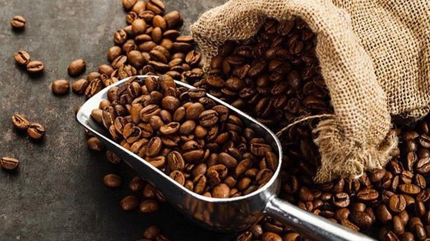 越南咖啡出口价格每吨增加1000万越盾 hinh anh 1
