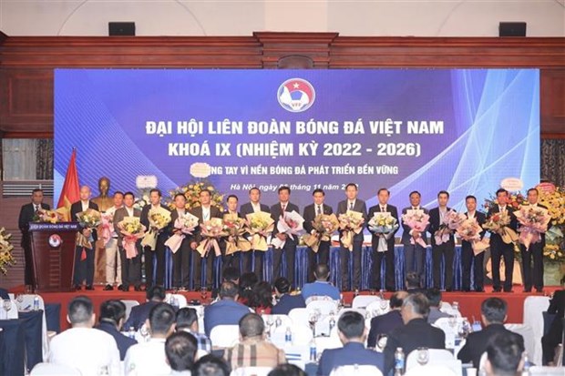 携手促进越南足球可持续发展 hinh anh 2