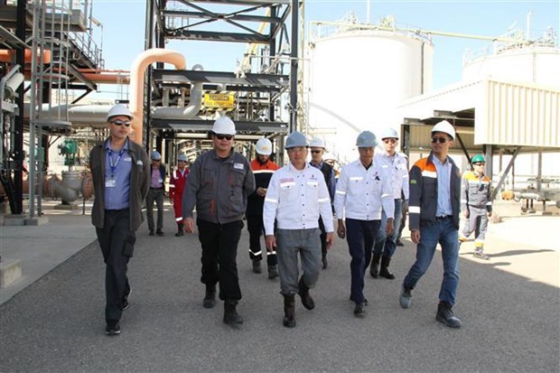 越南参加阿尔及利亚油田开采联营合作项目二期工程的谈判 hinh anh 1