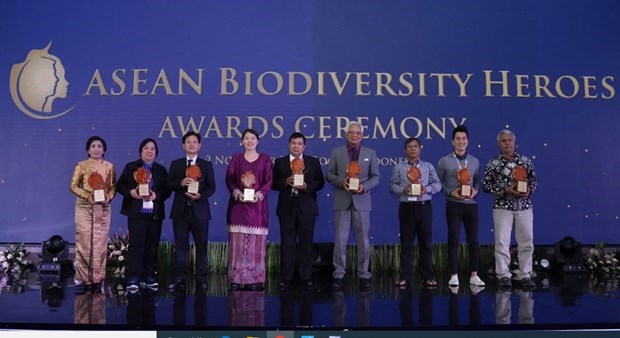 9名个人荣获“东盟生物多样性英雄奖” hinh anh 1
