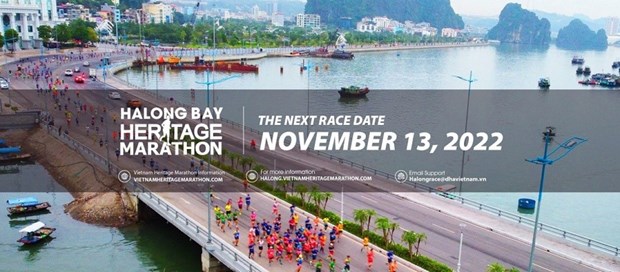 近1200名国际运动员报名参加下龙湾遗产国际马拉松大赛 hinh anh 1