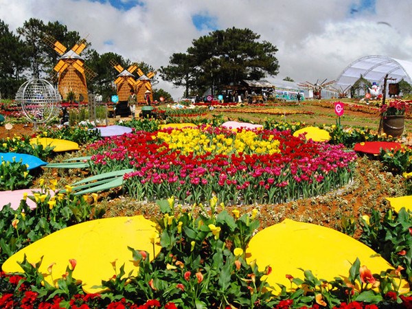2022年第九届大叻花卉节举行在即 hinh anh 1
