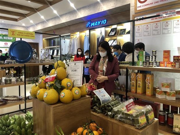 2022年河内市农产品、“一乡一品”产品节举行 hinh anh 1