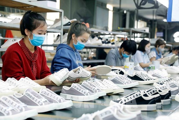 第22届越南国际鞋类及皮革展览会将在胡志明市举行 hinh anh 1