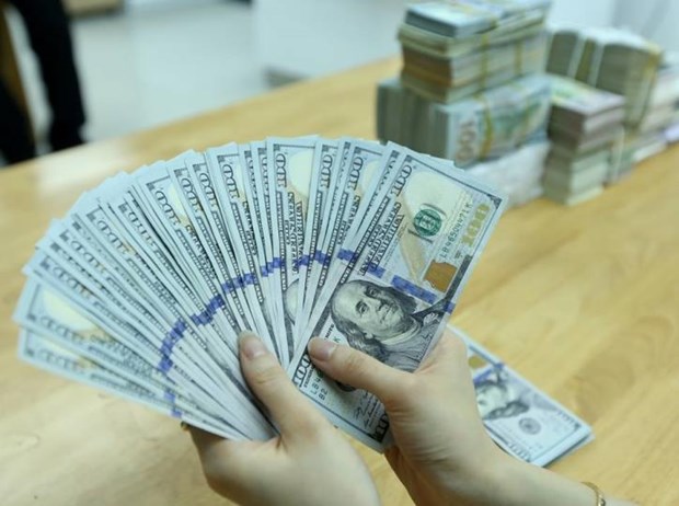 11月18日上午越南国内市场美元和人民币价格均下降 hinh anh 1