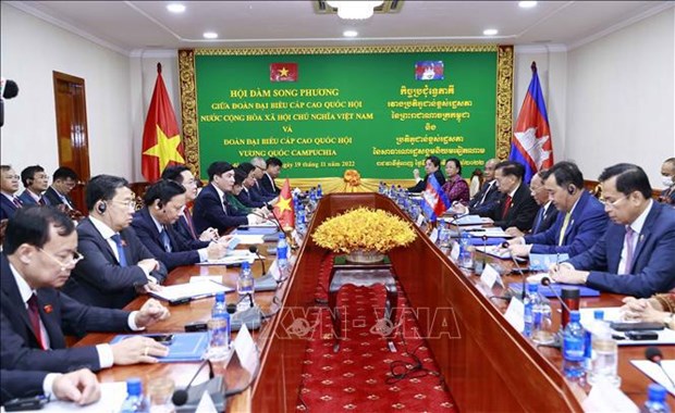 越南国会主席王廷惠与柬埔寨王国国会主席韩桑林举行会谈 hinh anh 1