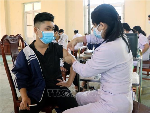 11月20日越南新增新冠肺炎确诊病例274例 hinh anh 1