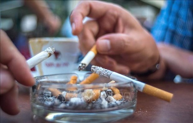 越南烟草消费的现状、挑战和解决方案 hinh anh 1