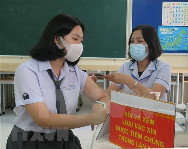 越南11月23日新增新冠肺炎确诊病例为546例 hinh anh 1