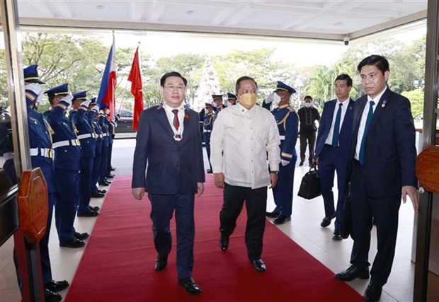 越南国会主席王廷惠与菲律宾众议院议长马丁·罗穆亚德斯举行会谈 hinh anh 2