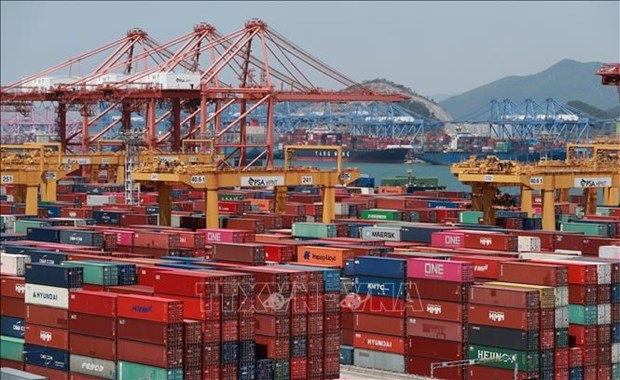 韩国增加从越南进口商品与服务 hinh anh 1