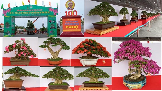 越南南部花卉盆景展暨盆景制作比赛在永隆省举行 hinh anh 1