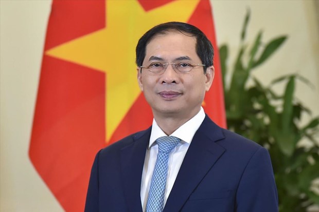 越南外交部长裴青山：越南将继续为联合国维和行动做出积极贡献 hinh anh 1