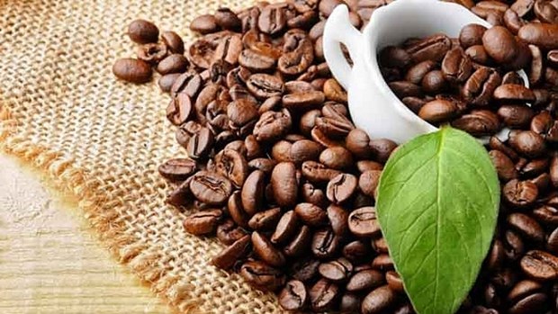 越南对韩咖啡出口额增长 hinh anh 1