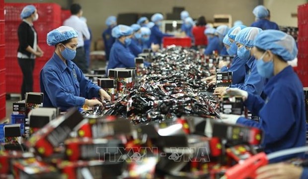 促进提高劳动生产率以实现越南的可持续增长 hinh anh 2