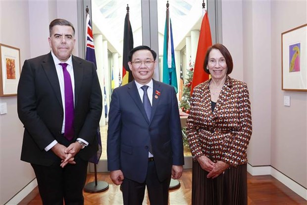 越南国会主席王廷惠与澳大利亚参议院议长苏·利内斯和众议院议长米尔顿·迪克举行会谈 hinh anh 2