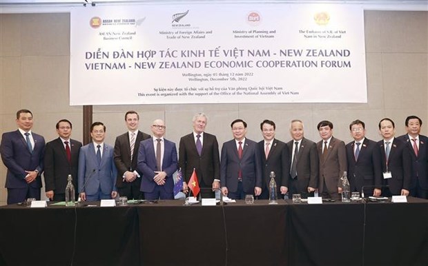 越南国会主席王廷惠出席越南—新西兰经济合作论坛 hinh anh 2