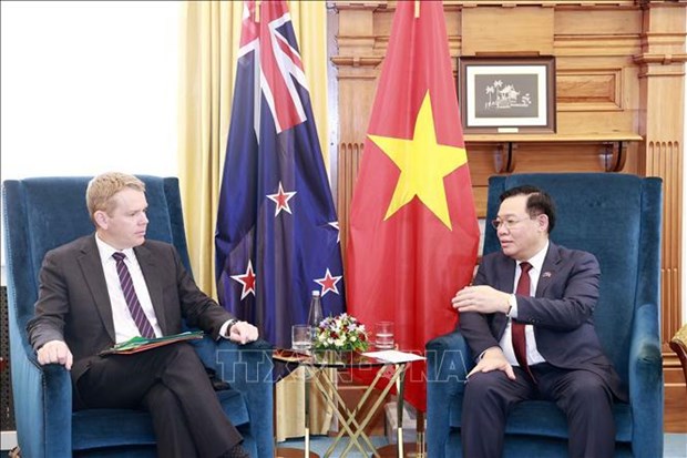 越南国会主席王廷惠会见新西兰领导人 hinh anh 3