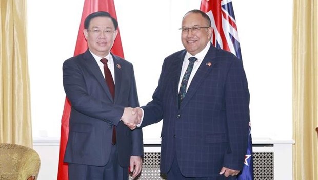 越南国会主席王廷惠与新西兰议会议长阿德里安·鲁拉斐举行会谈 hinh anh 1