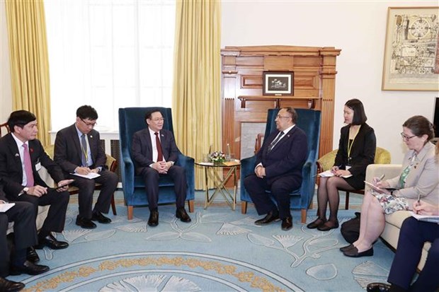 越南国会主席王廷惠与新西兰议会议长阿德里安·鲁拉斐举行会谈 hinh anh 2