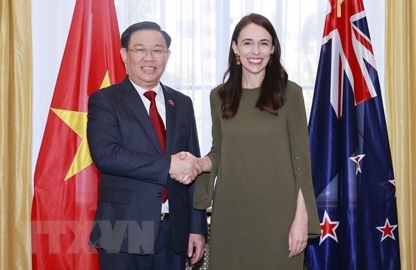 越南国会对外委员会主任：促进和深化越南与澳大利亚和新西兰的关系 hinh anh 1