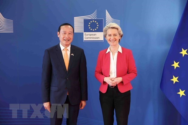 越通社驻比利时大使阮文草：推动越南—欧盟合作关系迈上新高度 hinh anh 1