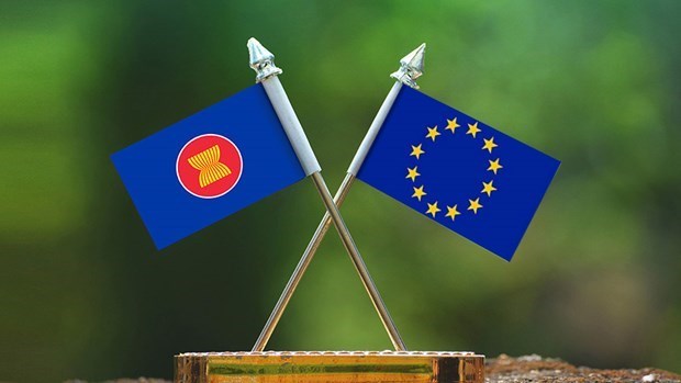 越南——欧盟在东盟的重要伙伴 hinh anh 2