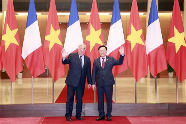 越南国会主席王廷惠与法国参议院议长热拉尔·拉尔歇举行会谈 hinh anh 1