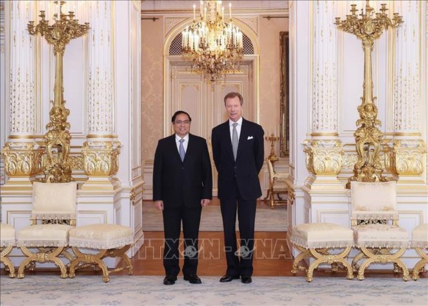 越南政府总理范明政会见卢森堡大公亨利 hinh anh 1