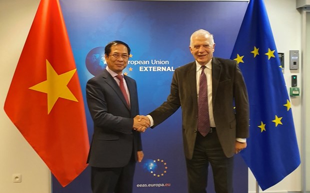 越南外交部长裴青山会见欧盟外交与安全政策高级代表兼欧洲委员会副主席博雷利 hinh anh 1