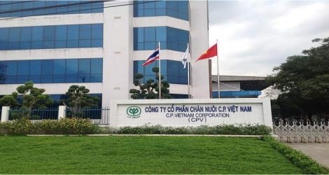 2022年越南饲料十强企业名单出炉 hinh anh 1