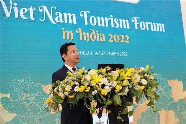 越南与印度不断促进旅游合作 hinh anh 1