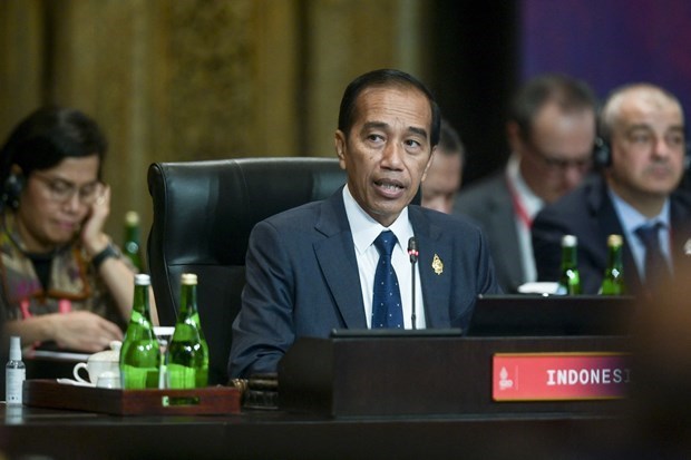 印度尼西亚呼吁东盟与欧盟促进平等伙伴关系 hinh anh 1