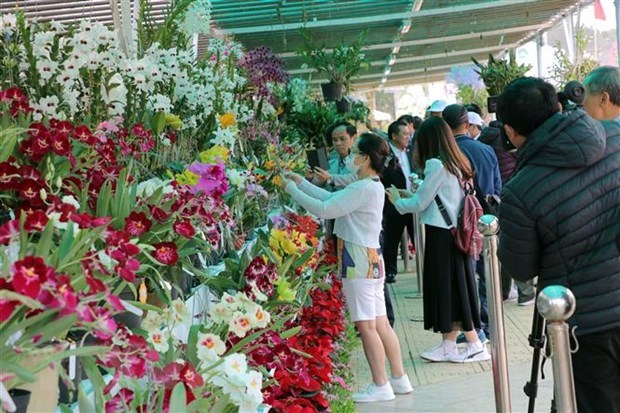 大叻花卉空间和国际花卉及树木展正式开放 hinh anh 1