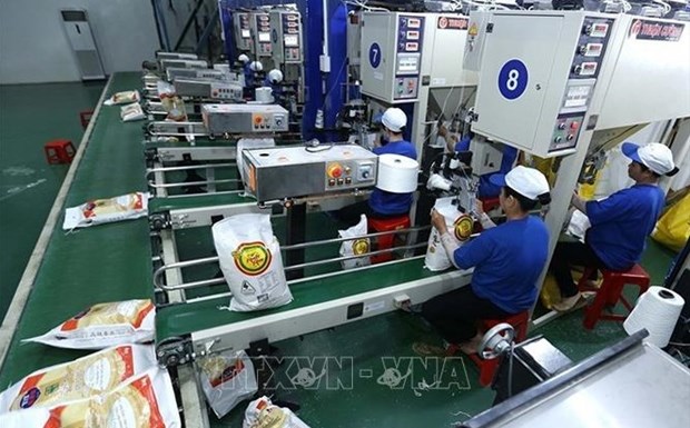 越南今年预计累计出口700多万吨大米 hinh anh 1