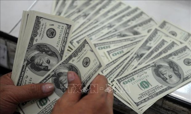 12月23日上午越南国内市场美元和人民币价格均下降 hinh anh 1