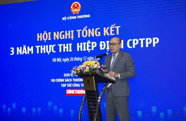 CPTPP实施3周年：越南企业充分利用市场 hinh anh 1