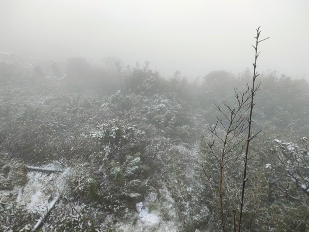 越南番西邦峰出现降雪天气 景色宛如仙境 hinh anh 1
