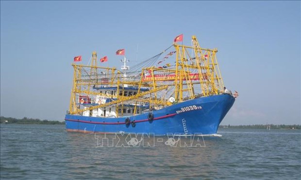 越南渔业协会：与渔民并肩前进 hinh anh 1