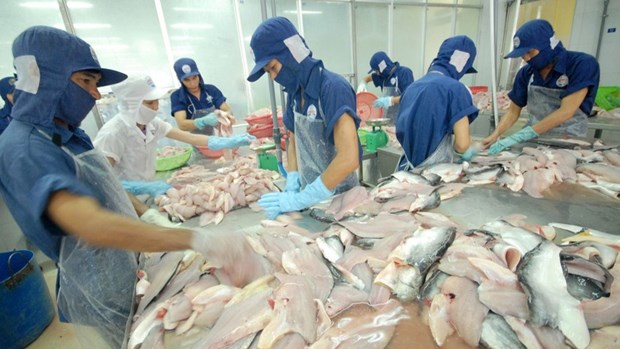东盟各国加大对越南查鱼产品的进口力度 hinh anh 1